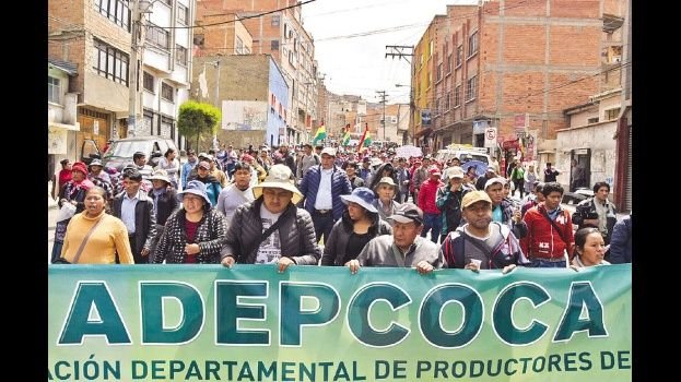 Cocaleros de los Yungas negaron que haya alianza con Carlos Mesa. Foto: PÁGINA SIETE