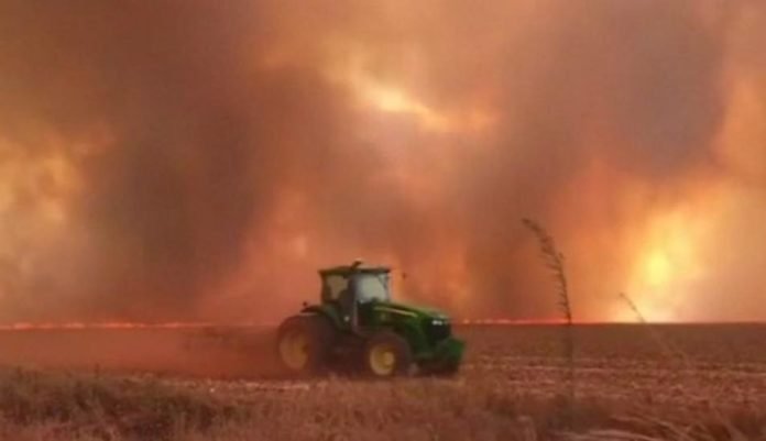En lo que va de 2019 los incendios en Brasil han aumentado en un 84% con respecto al 2018. (Foto de archivo: Reuters)