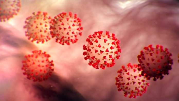 coronavirus-27-ilus-min